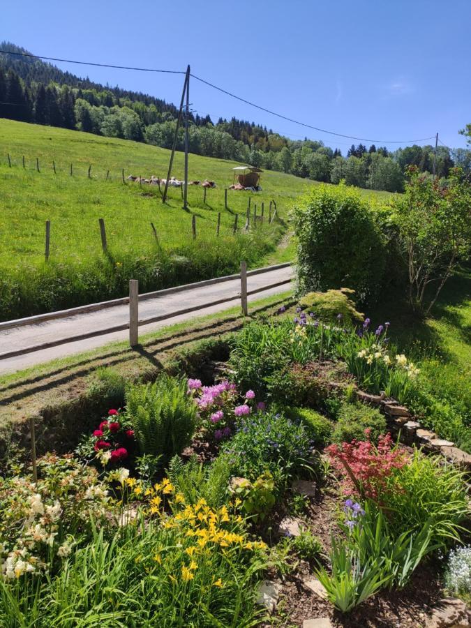Maison Le Rozet Les Gras Zewnętrze zdjęcie