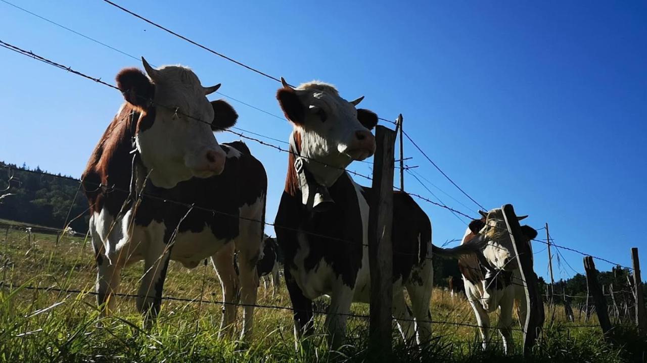 Maison Le Rozet Les Gras Zewnętrze zdjęcie