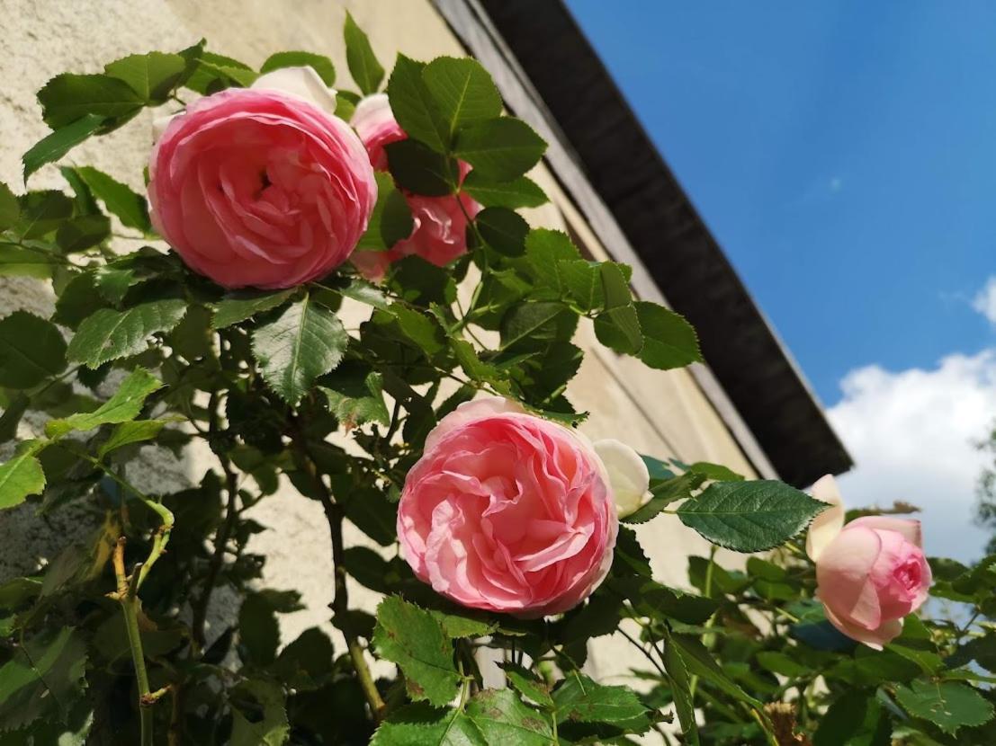 Maison Le Rozet Les Gras Zewnętrze zdjęcie